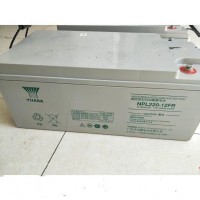 YUASA湯淺NP220-12蓄電池12V220應急電源專用