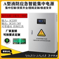 EPS消防應(yīng)急照明集中電源a型配電箱300W500W1kva